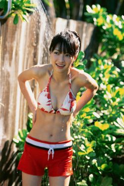 沈清舞陈六更新最快