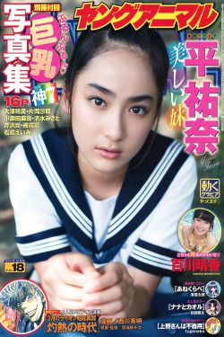 国产成人三级片
