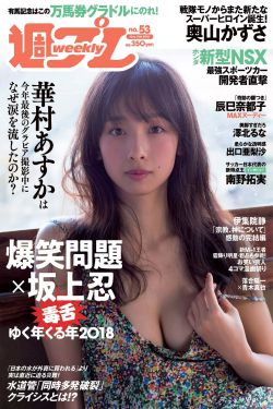四大文学体裁